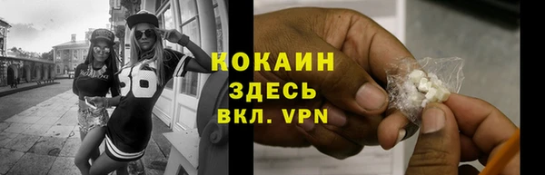 мдпв Горнозаводск