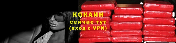 мдпв Горнозаводск