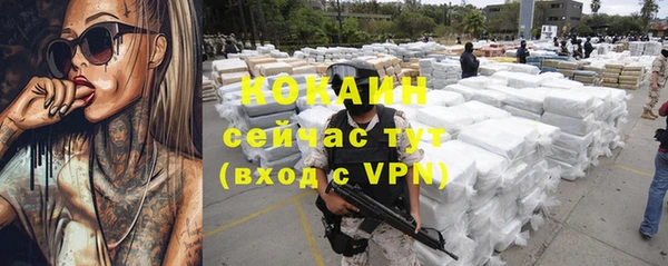 мдпв Горнозаводск
