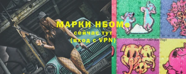мдпв Горнозаводск