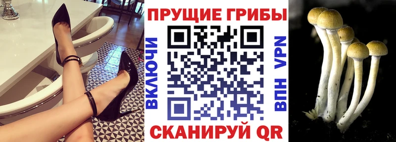 blacksprut зеркало  Чусовой  Псилоцибиновые грибы мухоморы 